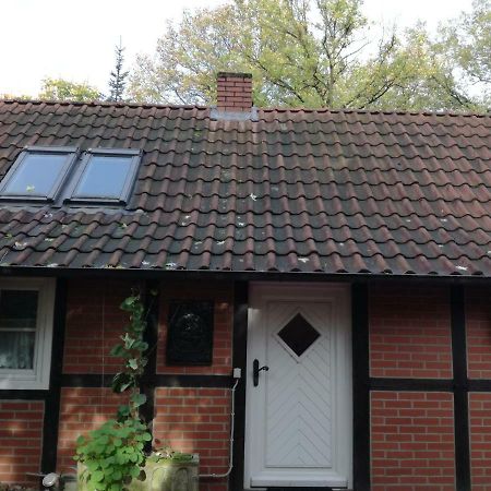 Ferienhaus In Rumke Bippen Eksteriør bilde