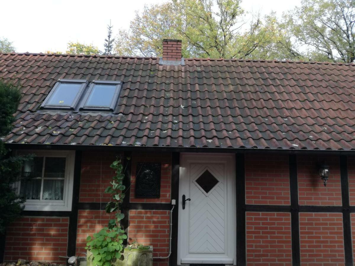 Ferienhaus In Rumke Bippen Eksteriør bilde